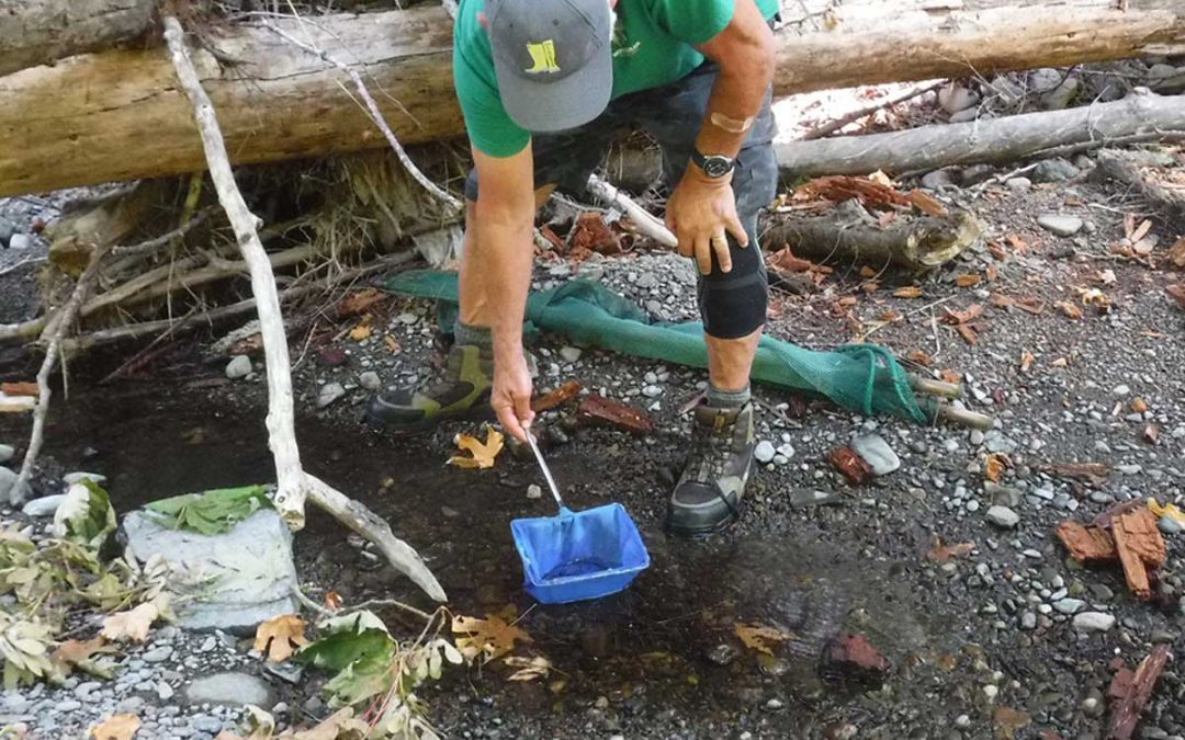 Volunteers on the Go | Building Community with MVIHES