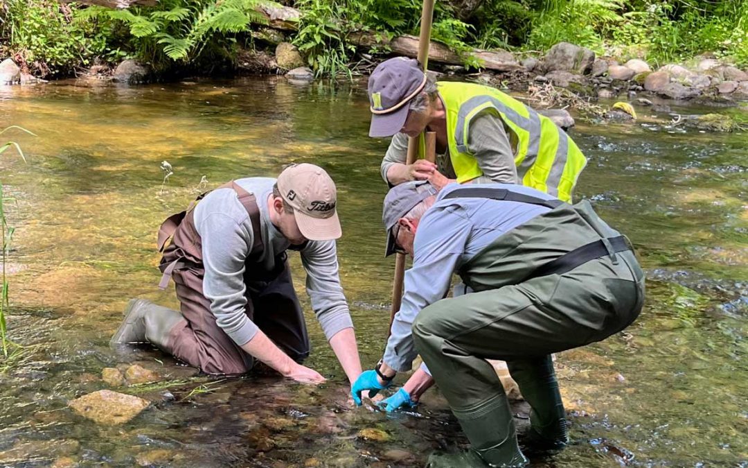 Learning the Art of Streamkeeping | Volunteers Make a Difference at French Creek