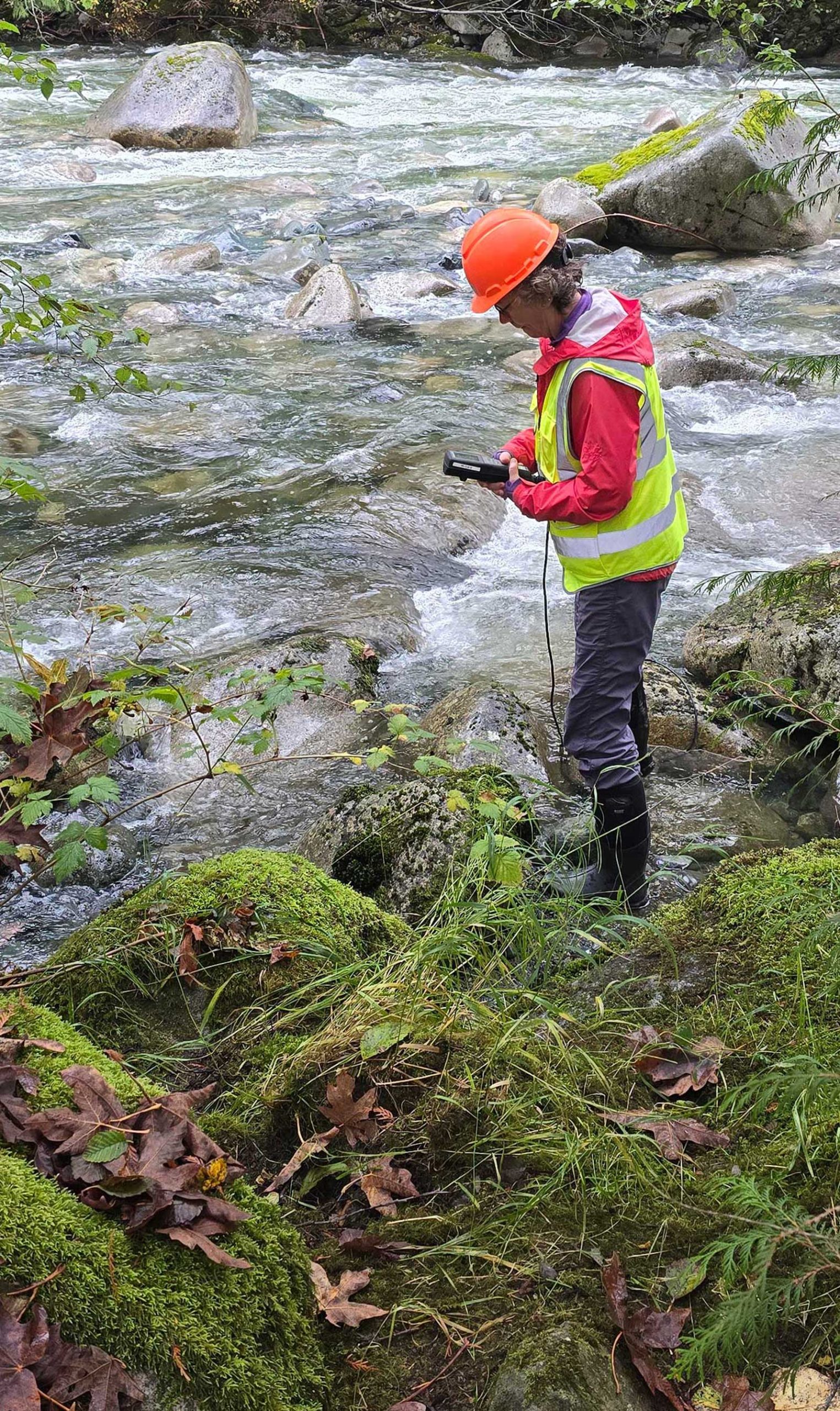 improving freshwater habitats on Vancouver Island